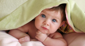 bebes