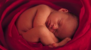 aborto