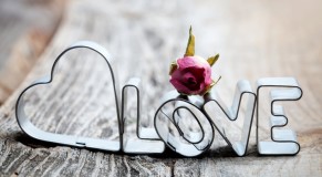 amar